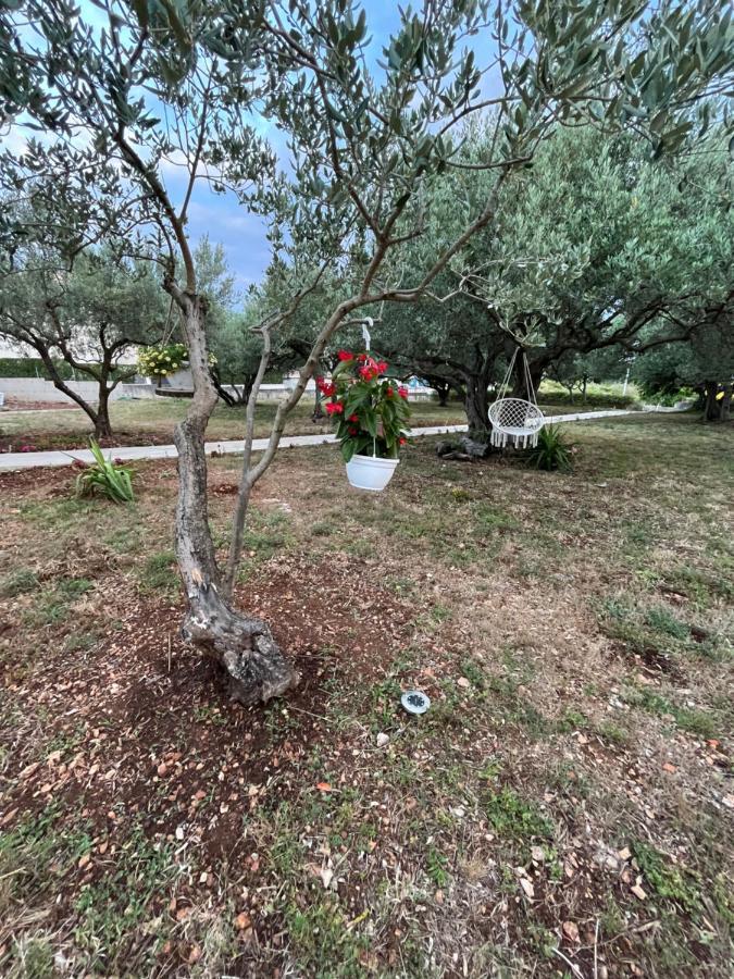 Apartman Oliva Zadar Exteriér fotografie