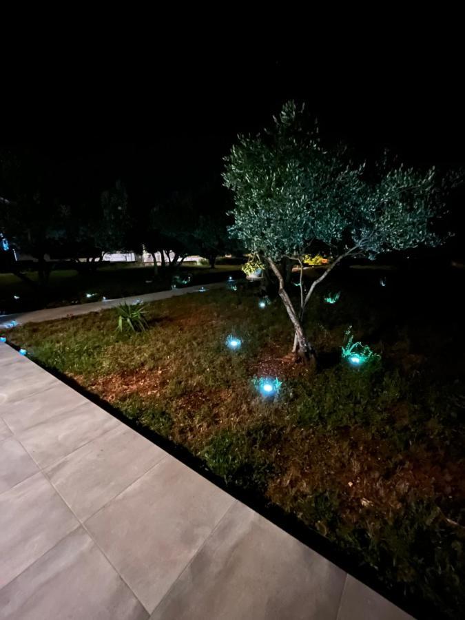 Apartman Oliva Zadar Exteriér fotografie